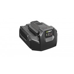 EGO Standard Battery Charger