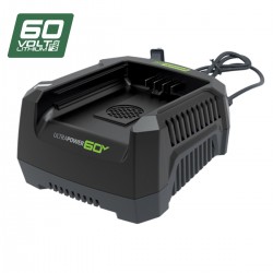 Greenworks Charger, 60V